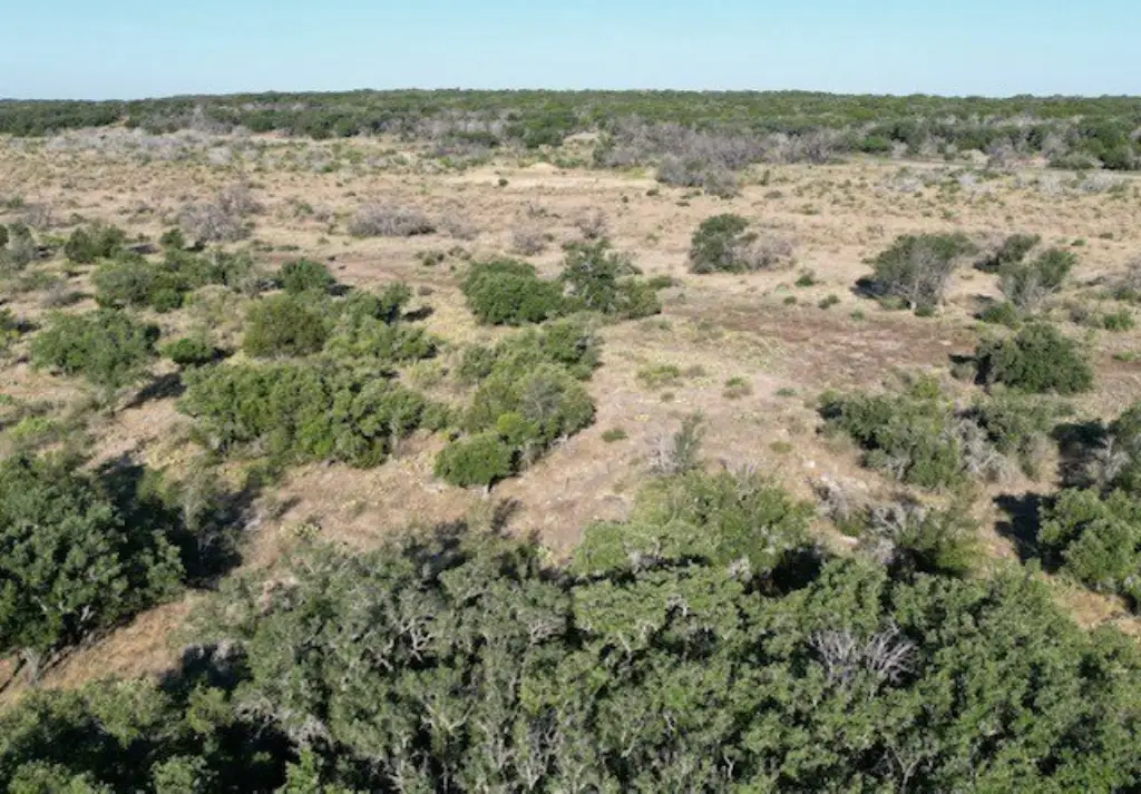Picture 30