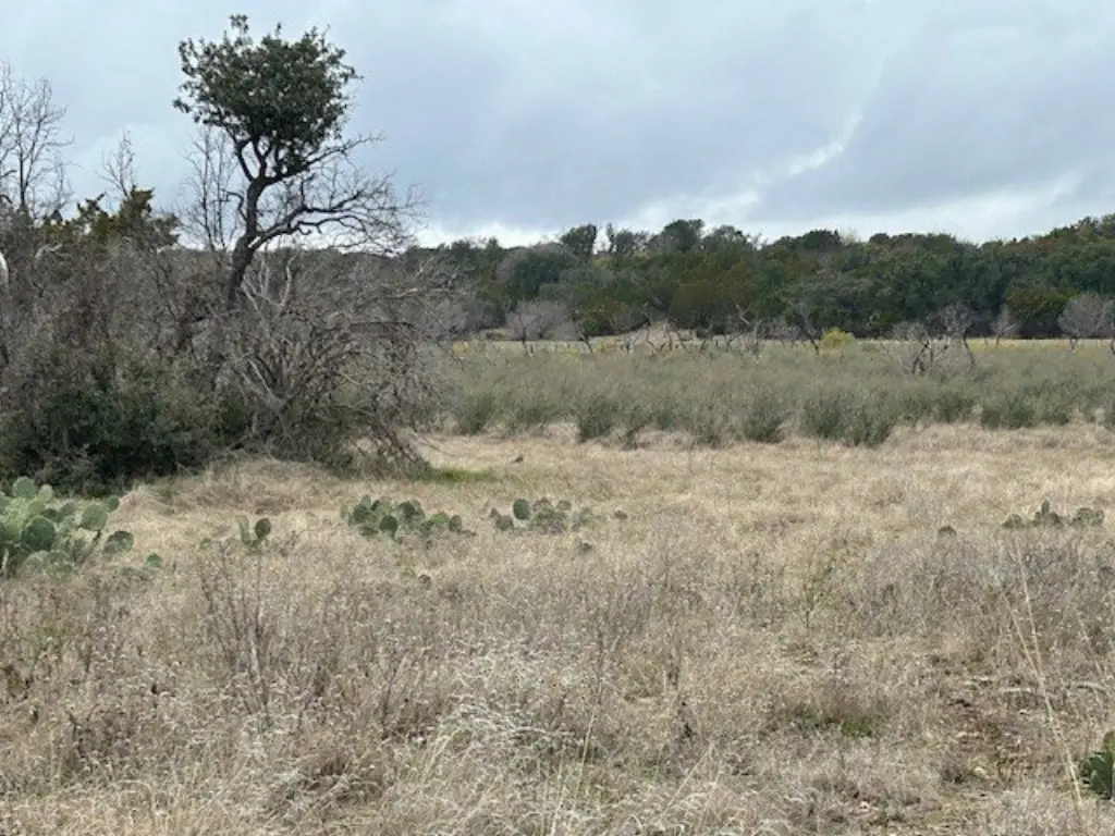 Picture 19