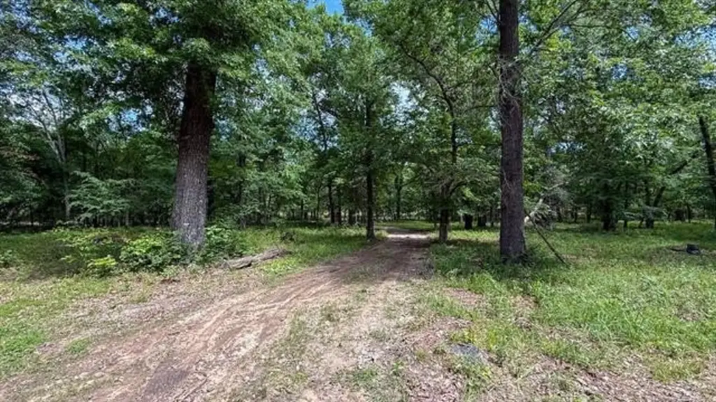 Picture 36