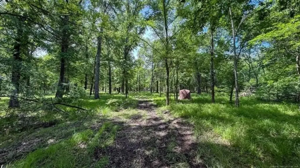 Picture 17