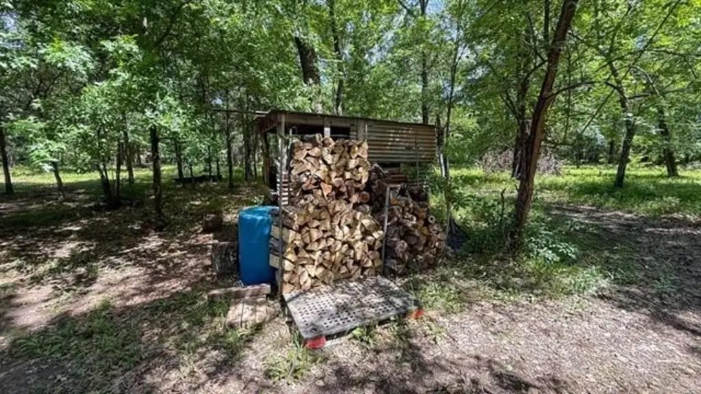 Picture 19