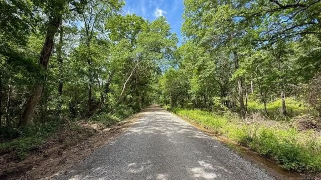 Picture 42