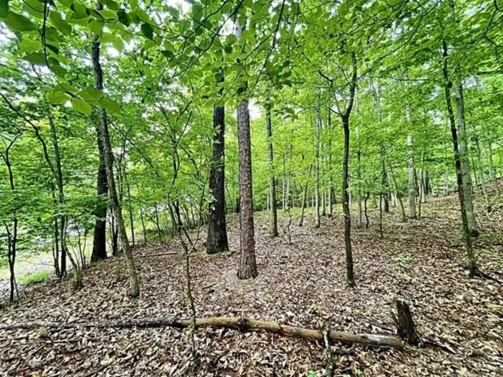 Picture 12