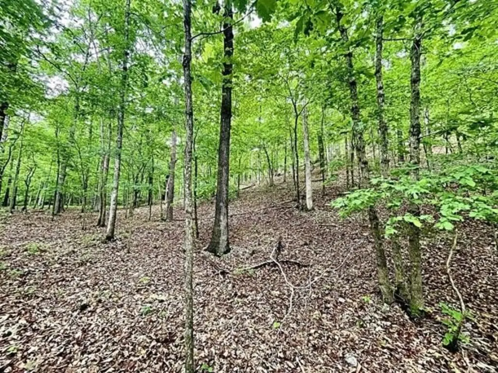 Picture 9
