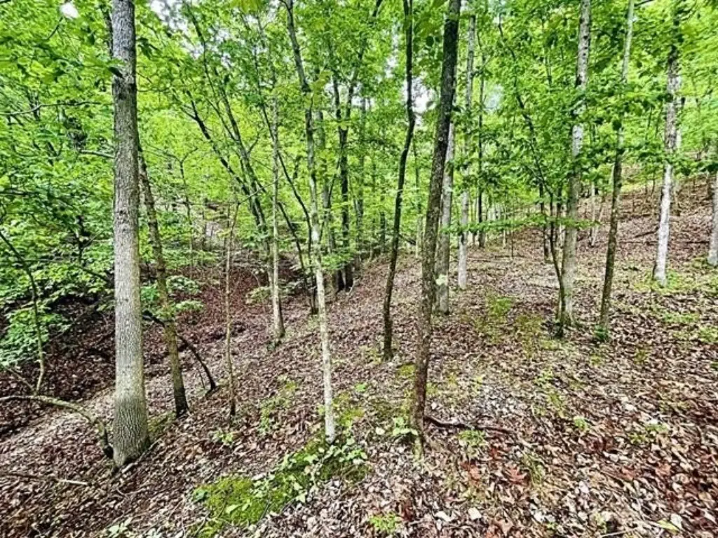 Picture 14
