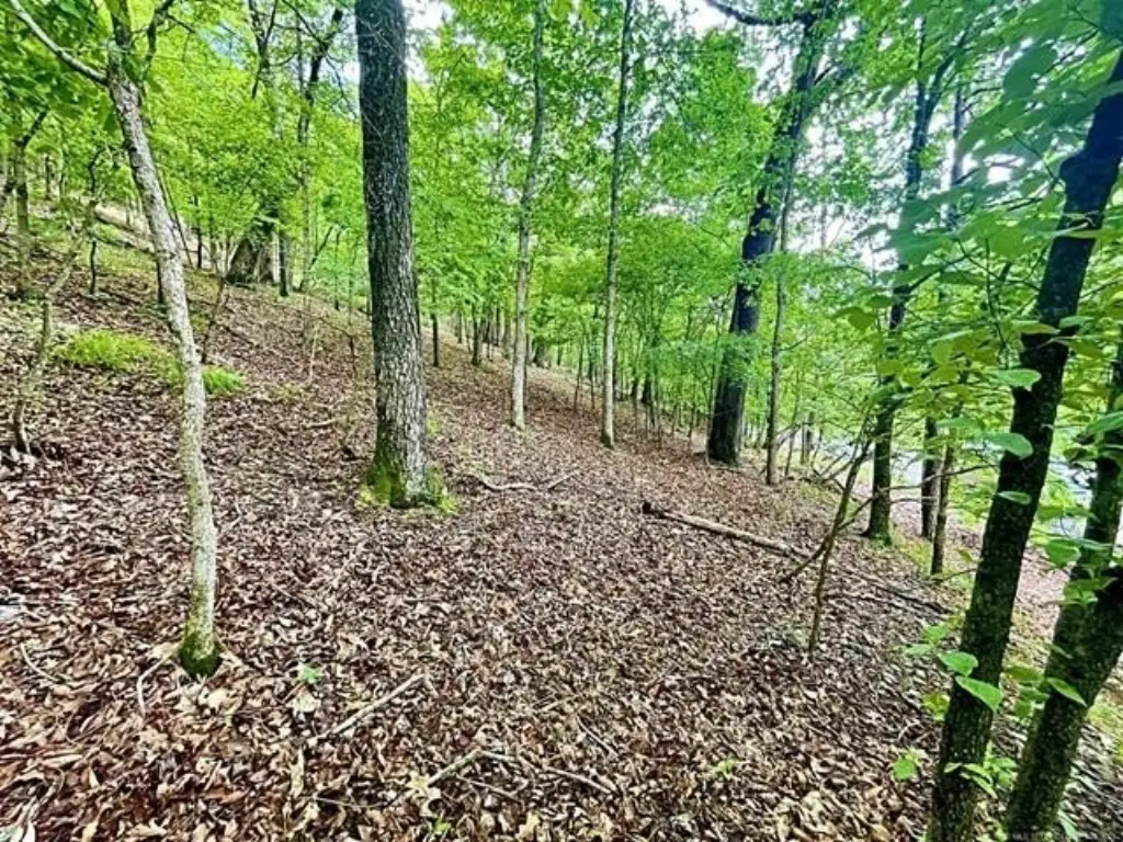 Picture 7