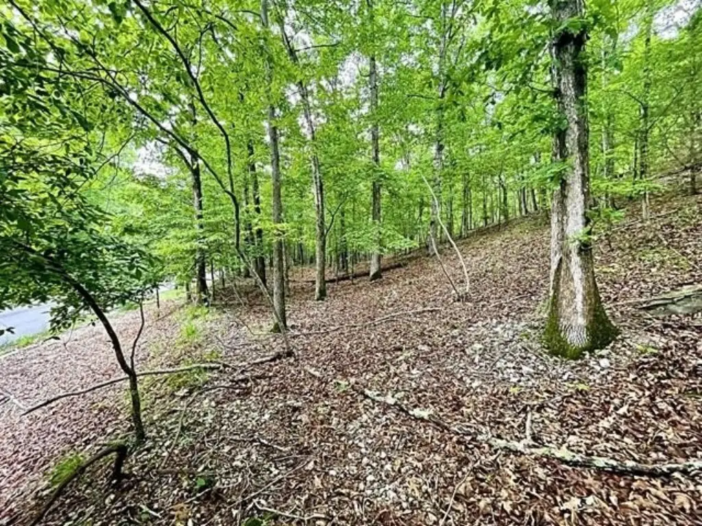 Picture 4