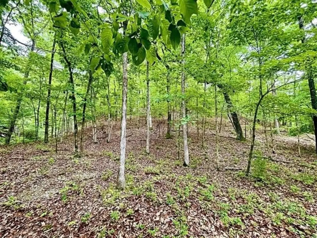 Picture 16