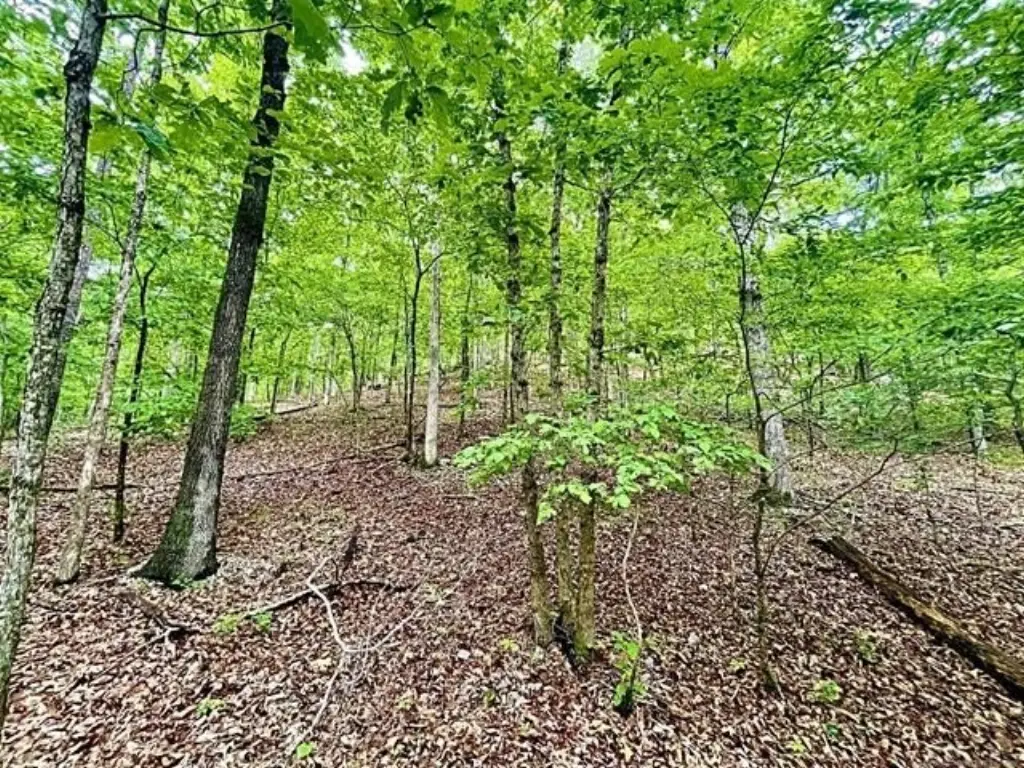Picture 10