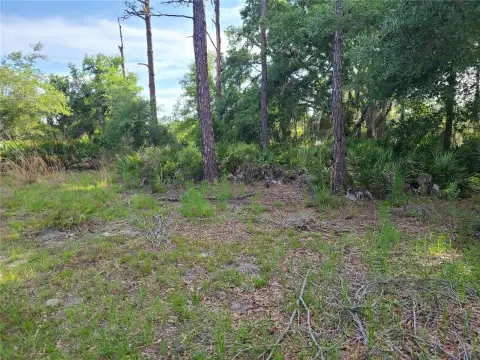 Land in Crystal River, FL
