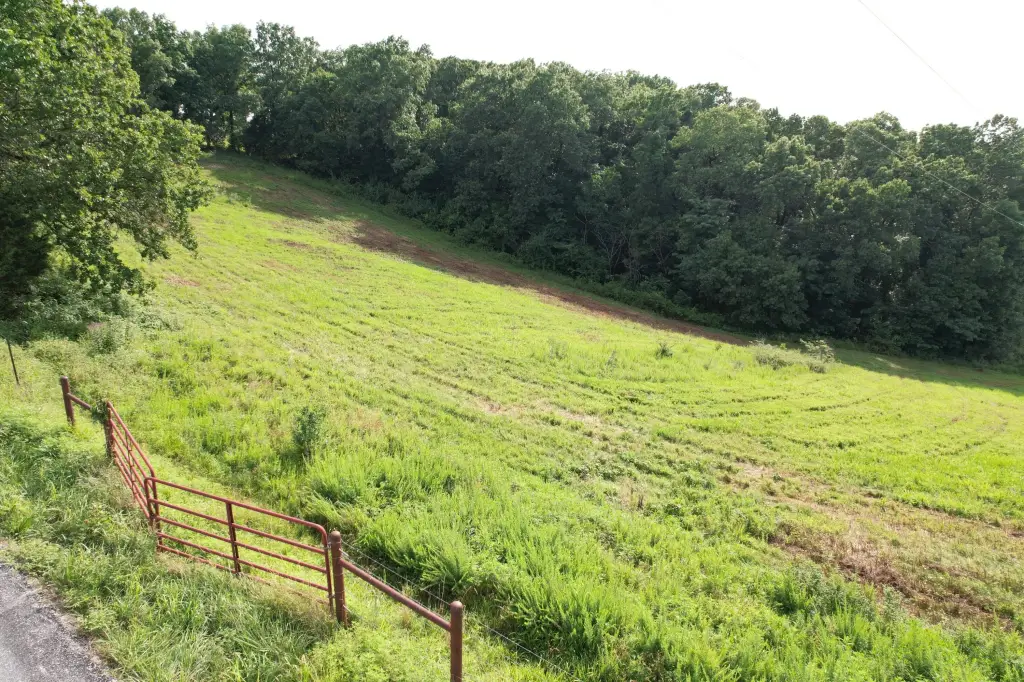 Picture 23