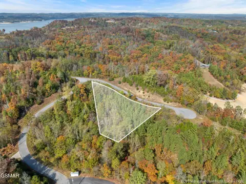 Land Near Douglas Lake