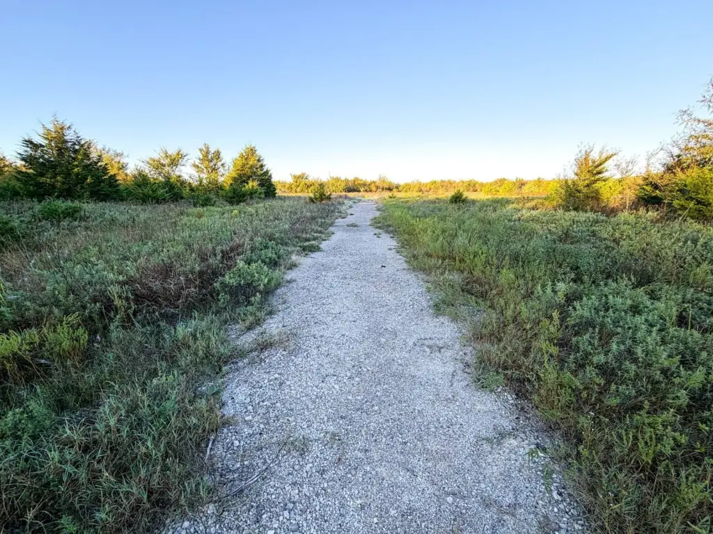 Picture 27