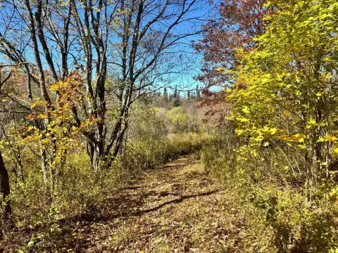 Recreation Land with Paved Access