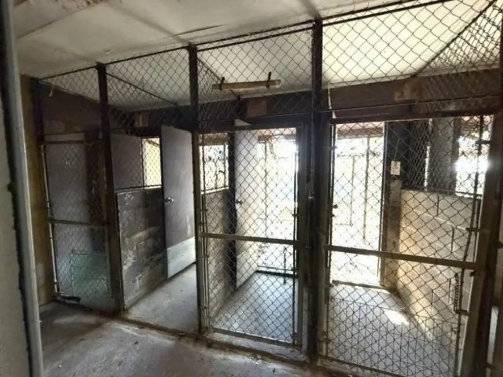 Picture 8