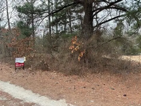 Residential Lot Near Catfish Bay