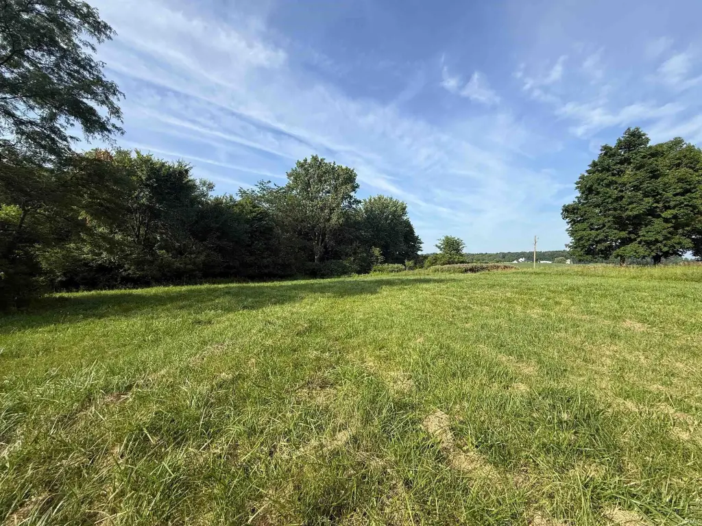 Picture 8