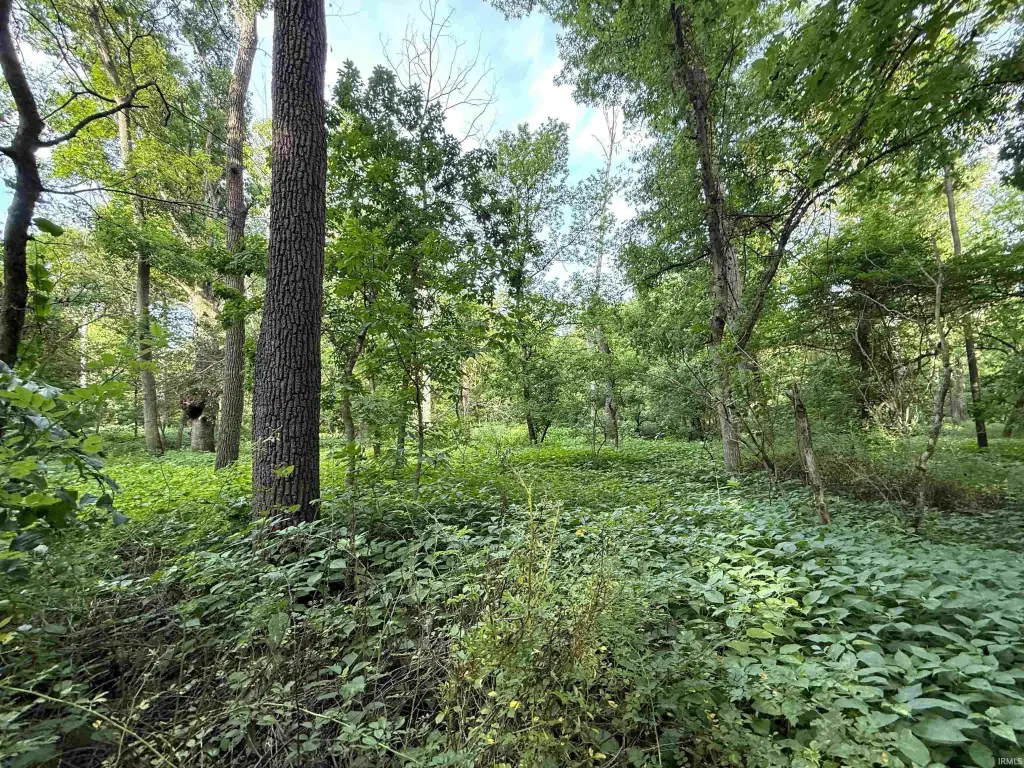 Picture 26