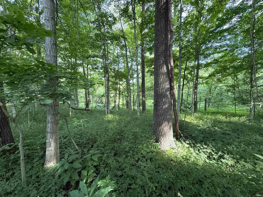 Picture 29