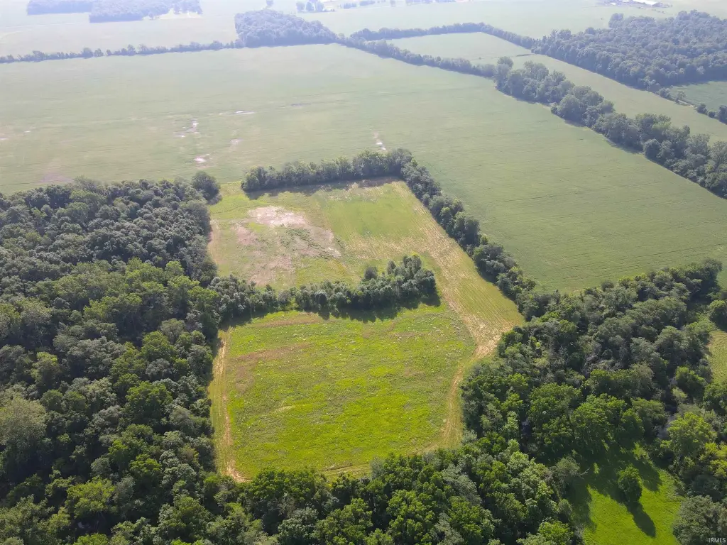 Picture 11
