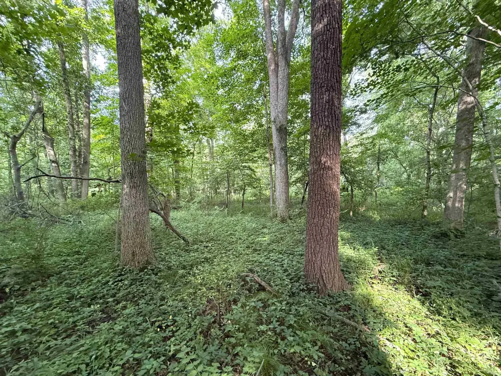 Picture 25