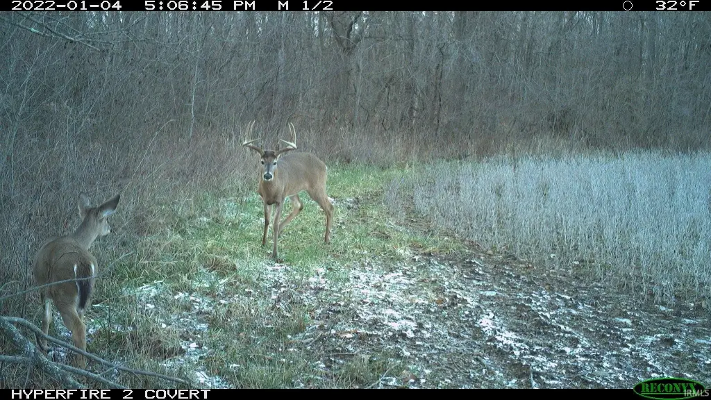 Picture 43