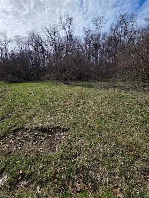 Picture 7