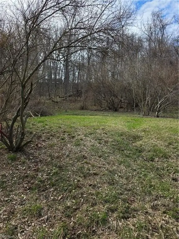 Picture 12