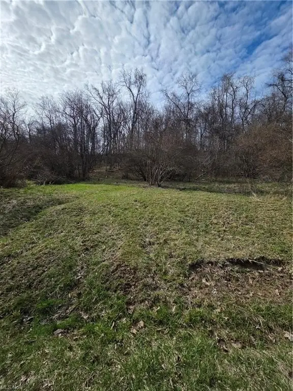 Picture 4