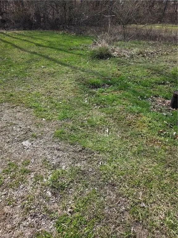 Picture 17