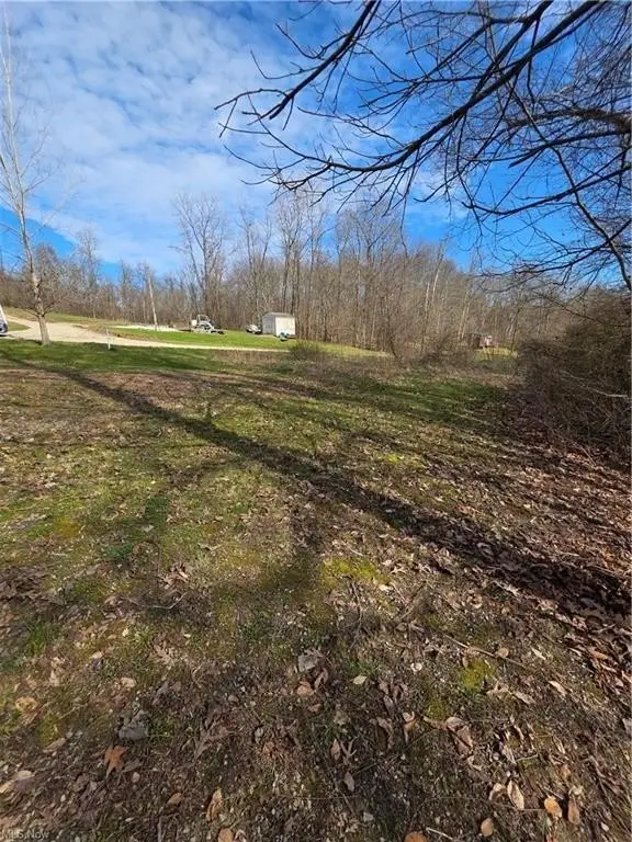Picture 25