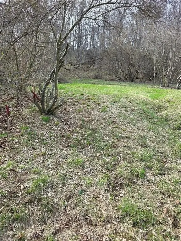 Picture 13