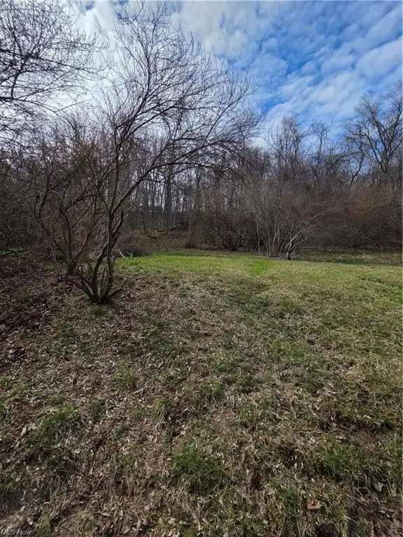Picture 11