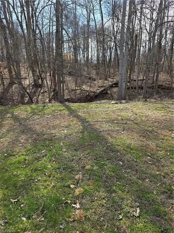 Picture 21