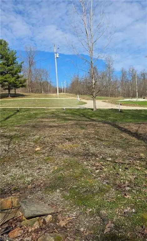 Picture 23