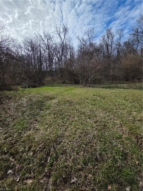 Picture 10