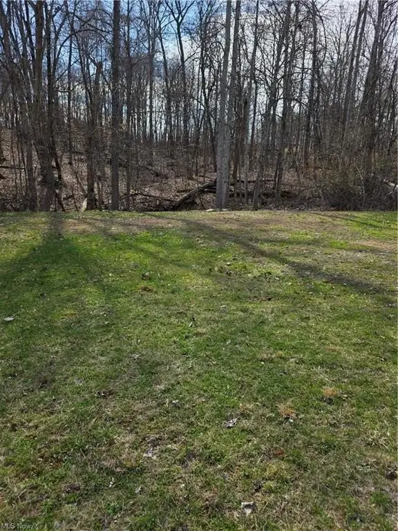 Picture 19