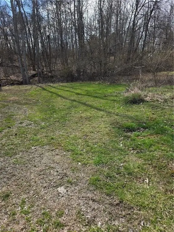 Picture 16