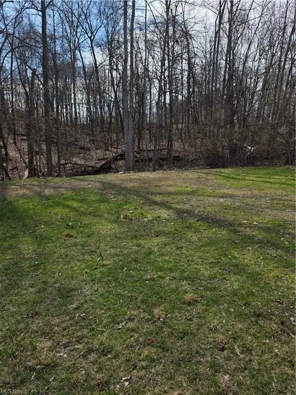 Picture 18