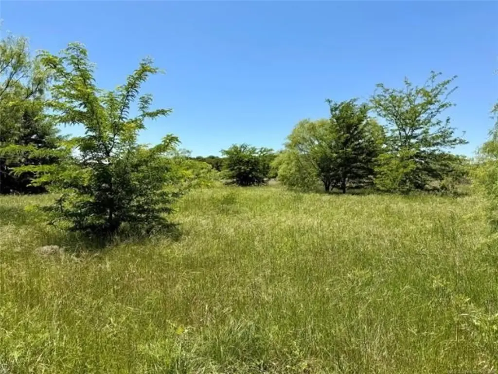 Picture 5