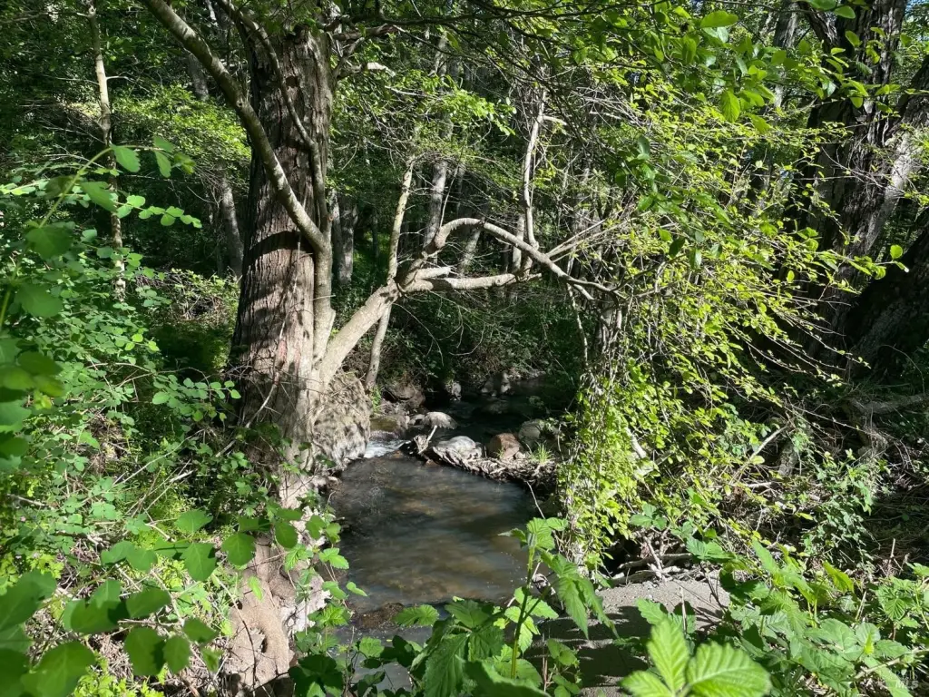 Picture 19