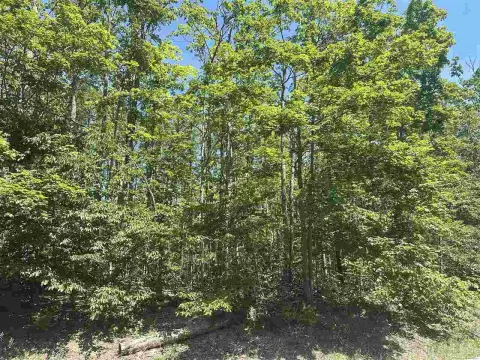 Ski In/Out Residential Lot