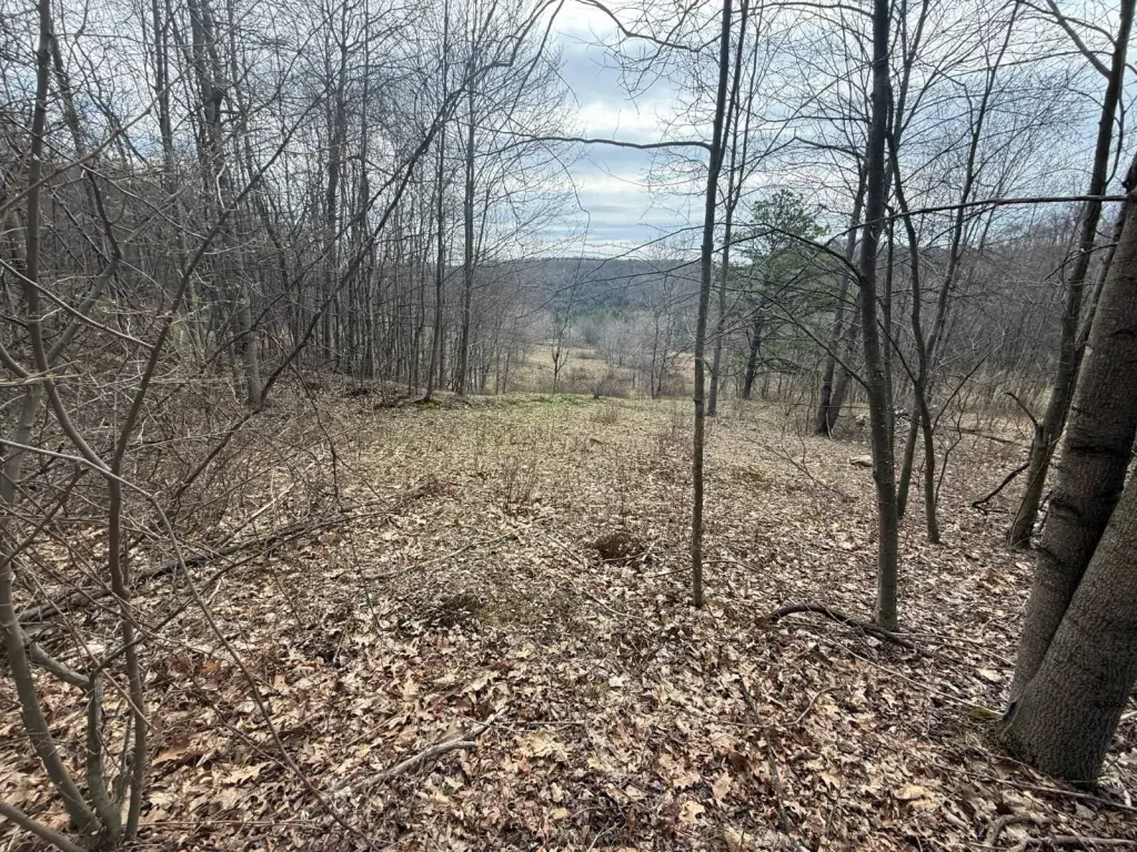 Picture 28