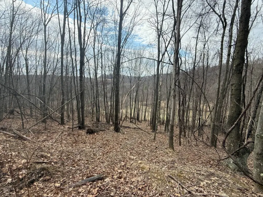 Picture 32