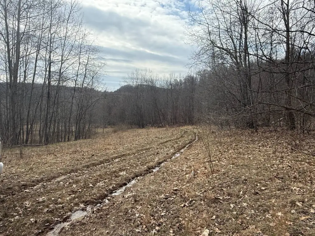 Picture 25