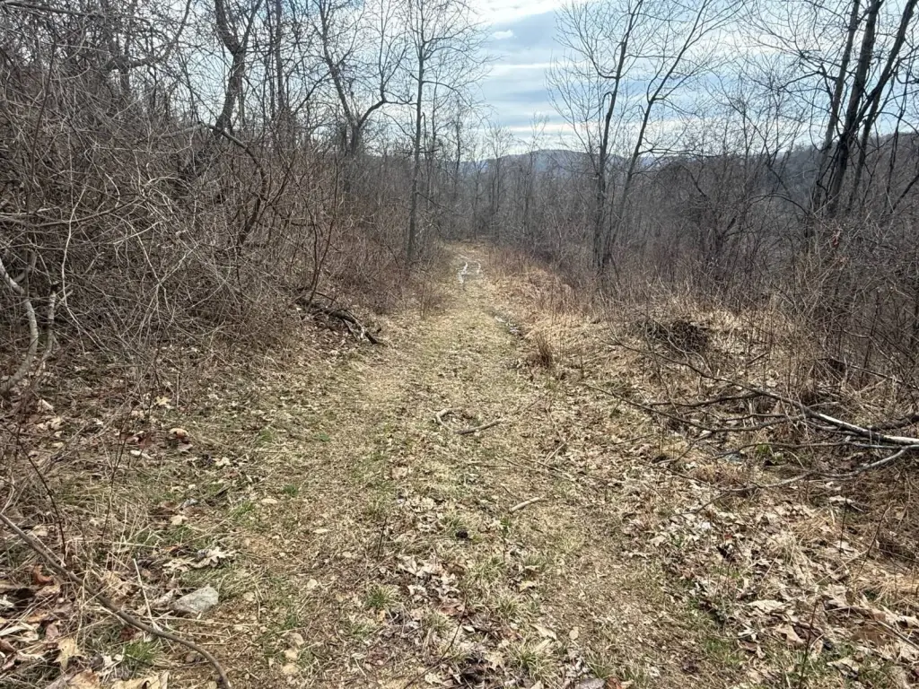 Picture 38