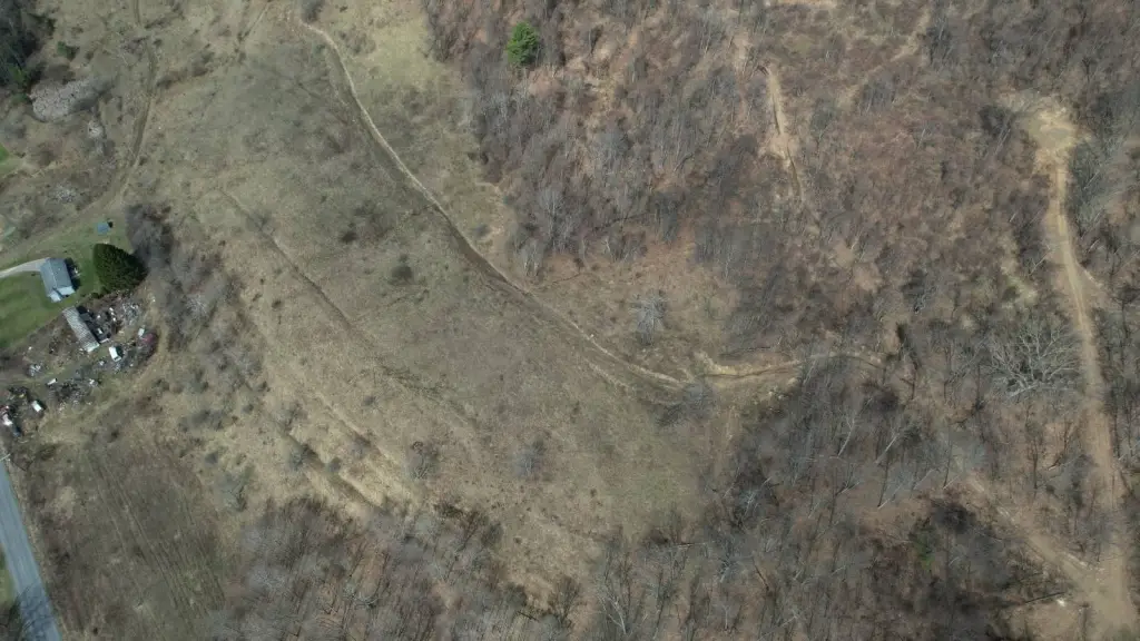 Picture 11