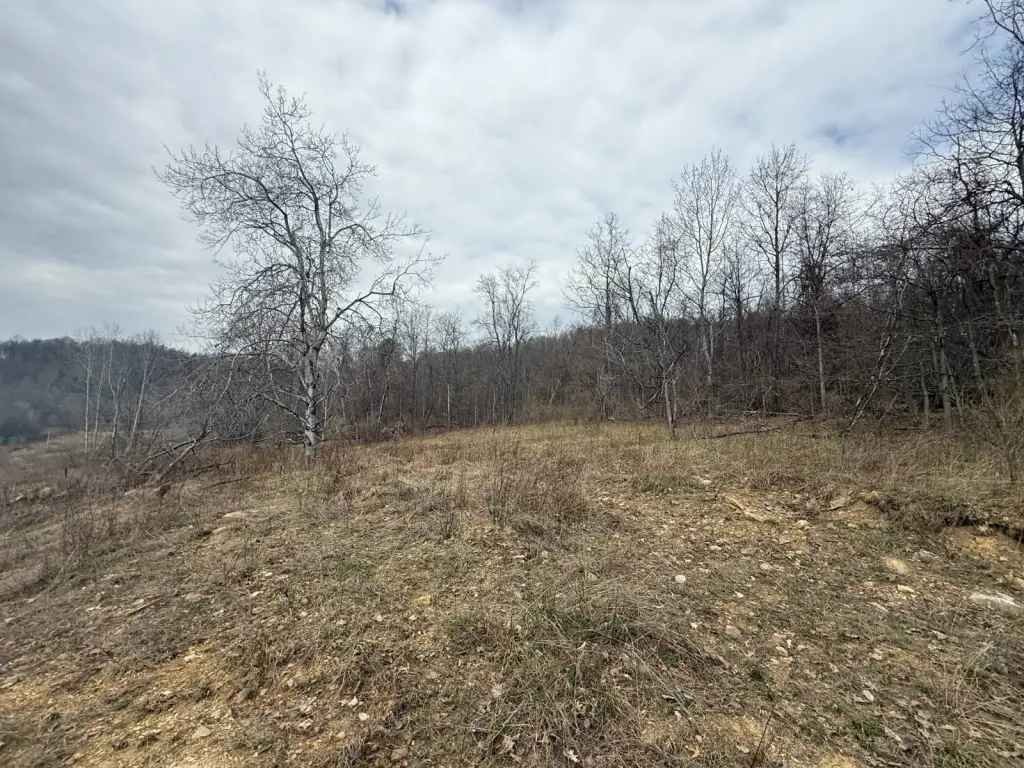 Picture 41