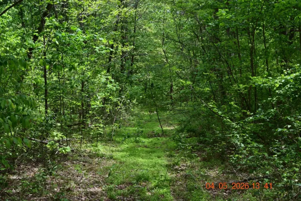 Picture 30
