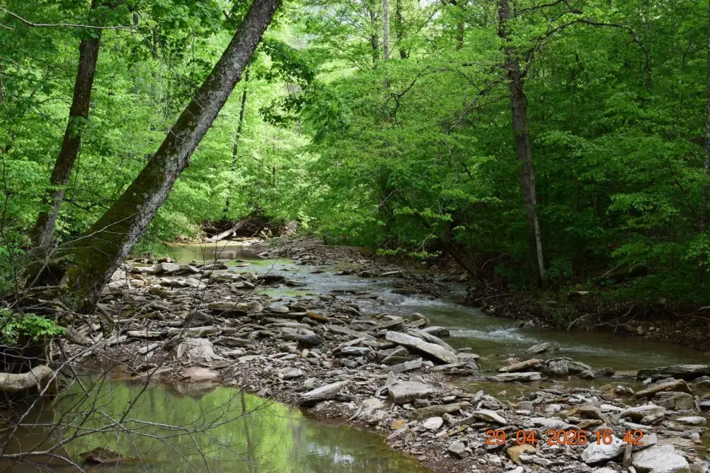 Picture 10